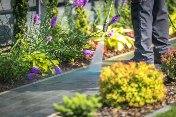 Best Roof Cleaning and Mildew Removal in Lake Of The Pines, CA